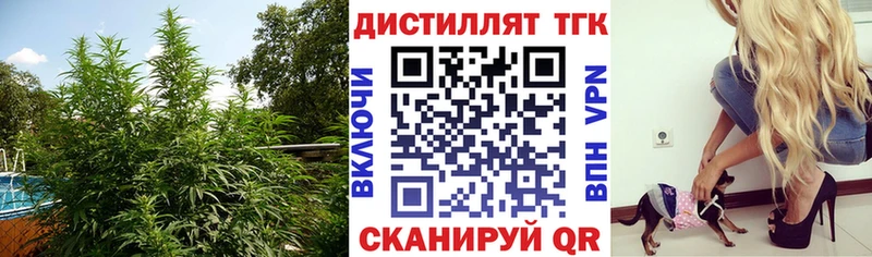 Дистиллят ТГК концентрат  MEGA онион  Комсомольск-на-Амуре 